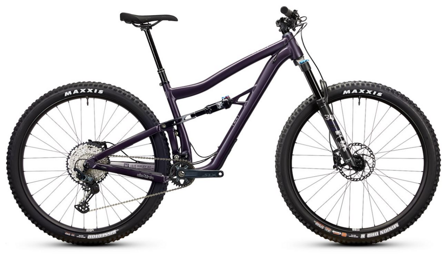 Ibis Ripley AF V1