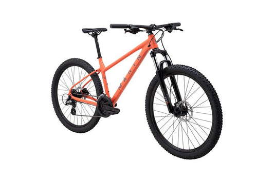 Marin wildcat Trail 2